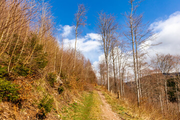 Fr&uuml;hlingswanderung durch den Th&uuml;ringer Wald bei Floh-Seligenthal - Th&uuml;ringen - Deutschland