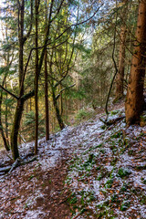 Frühlingswanderung durch den Thüringer Wald bei Floh-Seligenthal - Thüringen - Deutschland