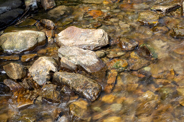 Mountain stream on a summer day in the Ukrainian Carpathians