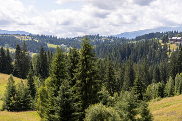 Mountain landscape in Ukrainian Carpathians in summer.