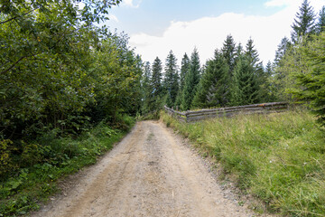Mountain dirt road in the Ukrainian Carpathians on a summer day.