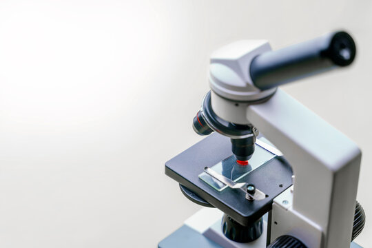 The concept of studying and studying blood. Bright red spot on microscope slide