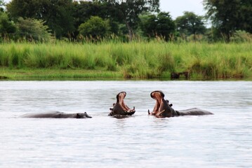 Namibia River 24