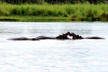 Namibia River 22