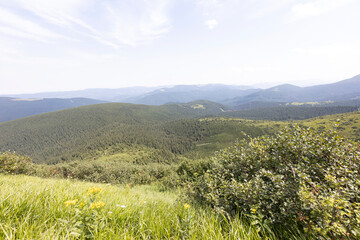 Obraz premium Mountain landscape in Ukrainian Carpathians in summer.