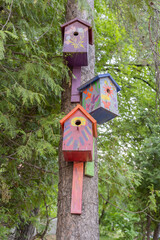 The funny painted birdhouses on the tree. Handmade wooden nesting box.