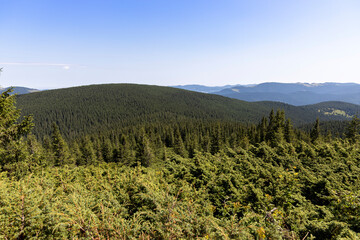 Mountain landscape in Ukrainian Carpathians in summer.