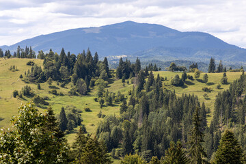 Panorama of mountains in the Ukrainian Carpathians on a summer day.