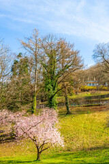 Obraz premium Spaziergang durch die Altstadt von Freiburg im Breisgau - Baden-Württemberg - Deutschland