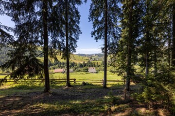 Obraz premium Buildings in a settlement in the mountainous Carpathians.