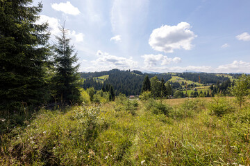 Obraz premium Green mountain meadows in the high Carpathians