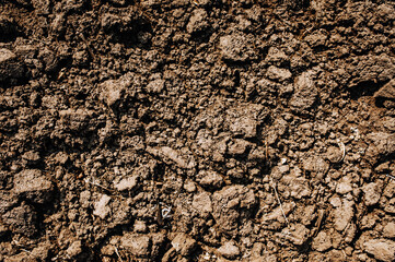 Background, texture of dug up earth, soil. Chernozem, top view.