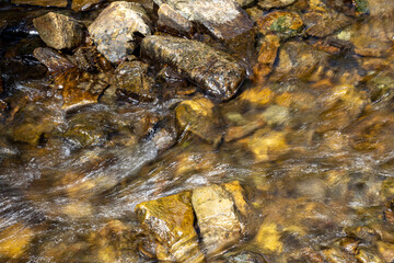 Mountain stream on a summer day in the Ukrainian Carpathians