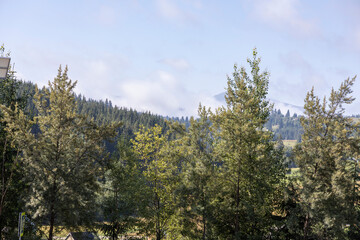 Panorama of mountains in the Ukrainian Carpathians on a summer day.