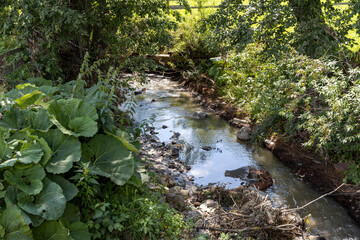 Mountain stream on a summer day in the Ukrainian Carpathians