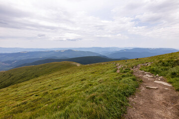 Fototapeta na wymiar Mountain landscape in Ukrainian Carpathians in summer.