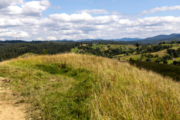 Obraz premium Panorama of mountains in the Ukrainian Carpathians on a summer day.