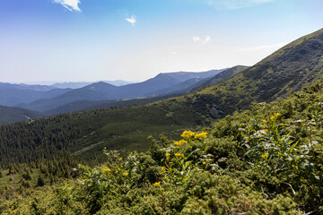 Mountain landscape in Ukrainian Carpathians in summer.