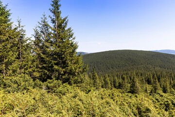 Mountain landscape in Ukrainian Carpathians in summer.