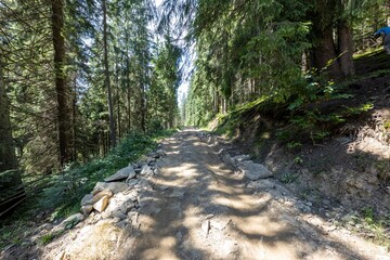 Mountain dirt road in the Ukrainian Carpathians on a summer day.