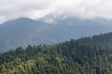 Panorama of mountains in the Ukrainian Carpathians on a summer day.