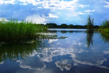 Fototapeta premium Namibia River 7