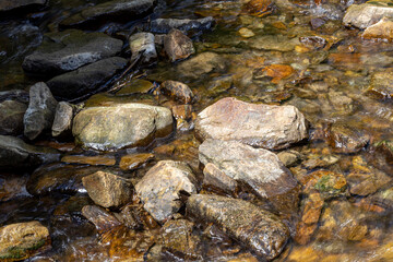 Mountain stream on a summer day in the Ukrainian Carpathians