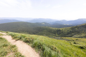 Mountain landscape in Ukrainian Carpathians in summer.