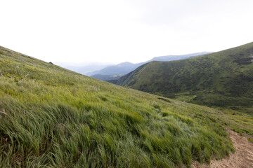 Panorama of mountains in the Ukrainian Carpathians on a summer day.