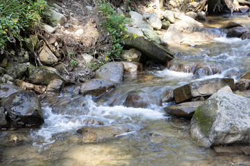 Fototapeta na wymiar Mountain stream on a summer day in the Ukrainian Carpathians