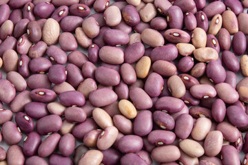 Red kidney beans texture still raw, fresh and healthy. Variety of beans Phaseolus vulgaris, brazilian purple bean