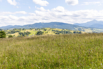 Panorama of mountains in the Ukrainian Carpathians on a summer day.