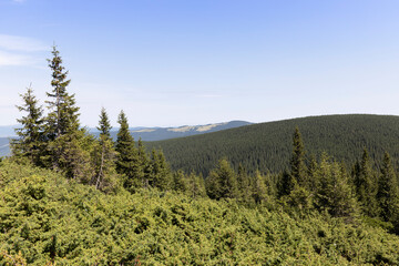 Mountain landscape in Ukrainian Carpathians in summer.