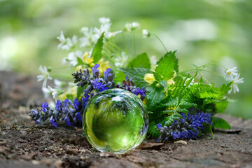 magic crystal ball with wild flowers, blurred green natural background. spring or summer season....