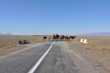 Kazakhstan, country's landscapes.