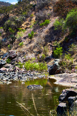 r&iacute;o en un lugar semi desertico junto a una monta&ntilde;a con escasa vegetacion en monte escobedo zacatecas