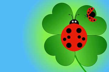 Obraz premium テントウムシ