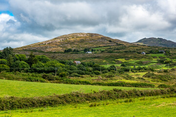 Gr&uuml;ne Felder am Waldrand in den Bergen