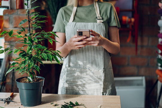 Woman florist using a smartphone while working in a flower shop