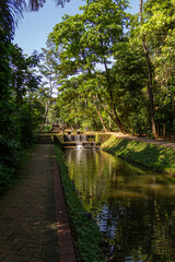 Fototapeta na wymiar Detalhe do Bosque dos Buritis. Um parque público na cidade de Goiânia em Goiás.