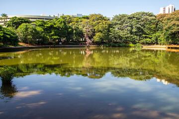 Fototapeta na wymiar Detalhe do Bosque dos Buritis. Um parque público na cidade de Goiânia em Goiás.