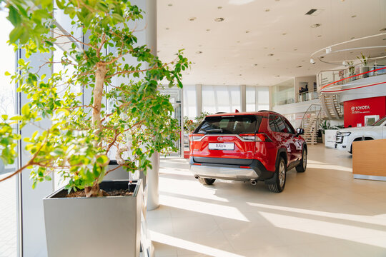 rear view new car red Toyota rav4 in premises of dealership 