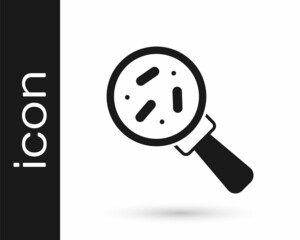 Black Microorganisms under magnifier icon isolated on white background. Bacteria and germs, cell cancer, microbe, virus, fungi. Vector
