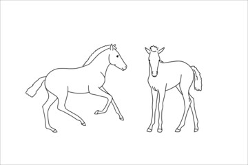 Cute foals, vector illustration, drawn with a line, coloring book