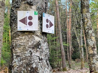 GUEBWILLER, FRANCE - APRIL 22, 2022: FFC mountain bike markings at the Dreibannstein pass, in the Guebwiller forest (France).
