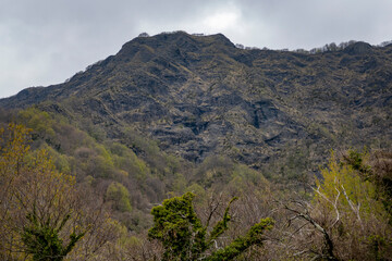 Fototapety na wymiar - Fototapeta24.pl