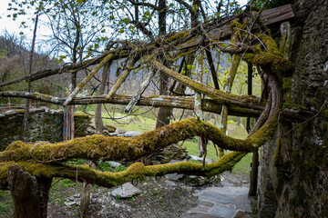 Obraz premium Siestri, Locanda di Dante, Liguria