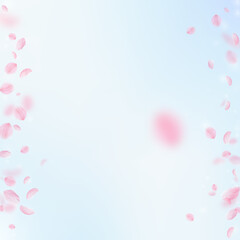 Fototapeta na wymiar Sakura petals falling down. Romantic pink flowers borders. Flying petals on blue sky square background. Love, romance concept. Modern wedding invitation.