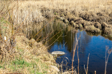 reeds on the river, Fjellhammer, Langenvannet, Lørenskog, Norway