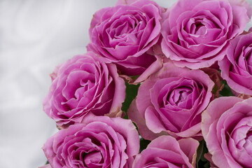 Greeting card with beautiful fresh roses and copy space.